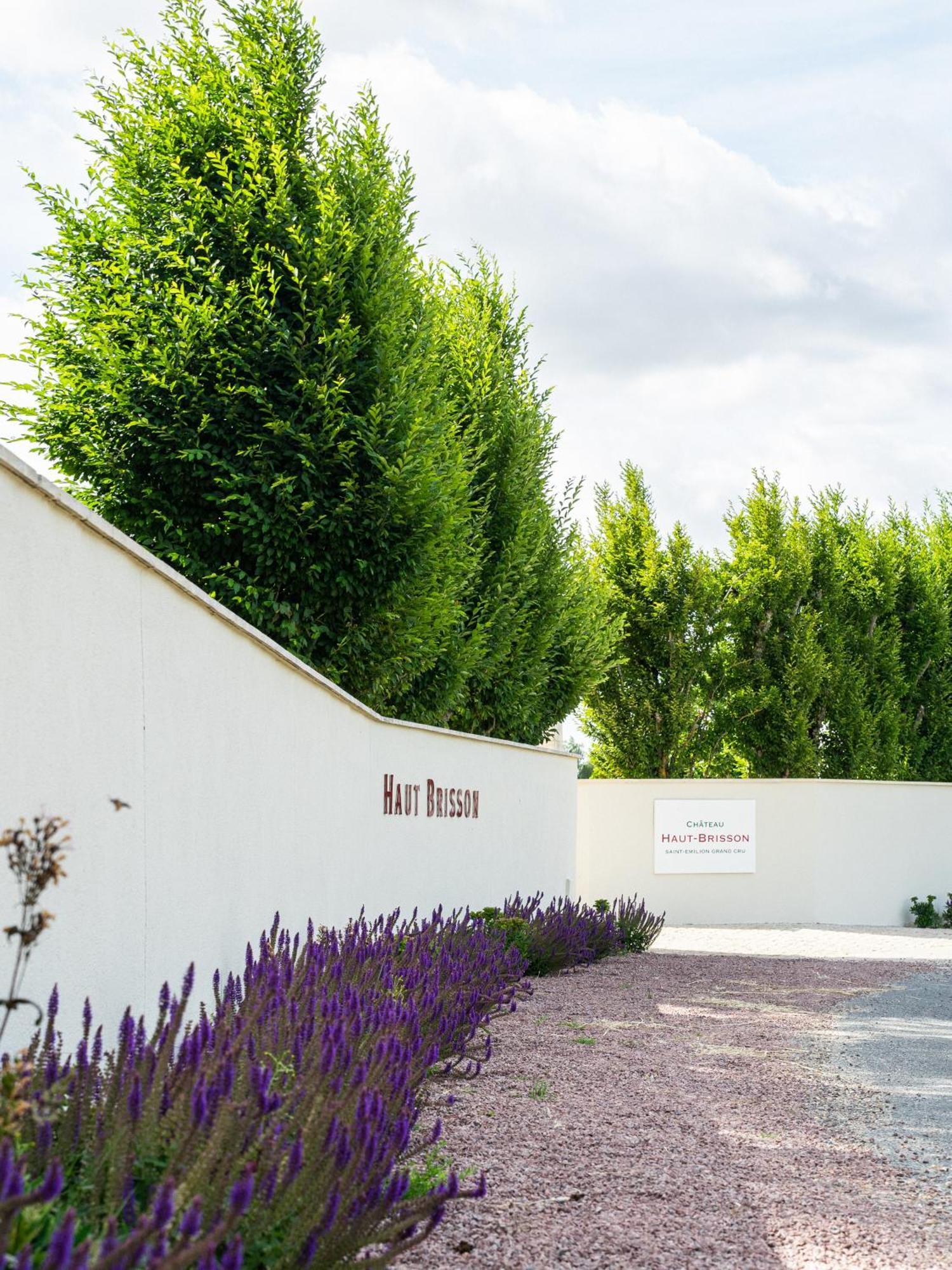 Chateau Haut-Brisson Vignonet Exterior foto